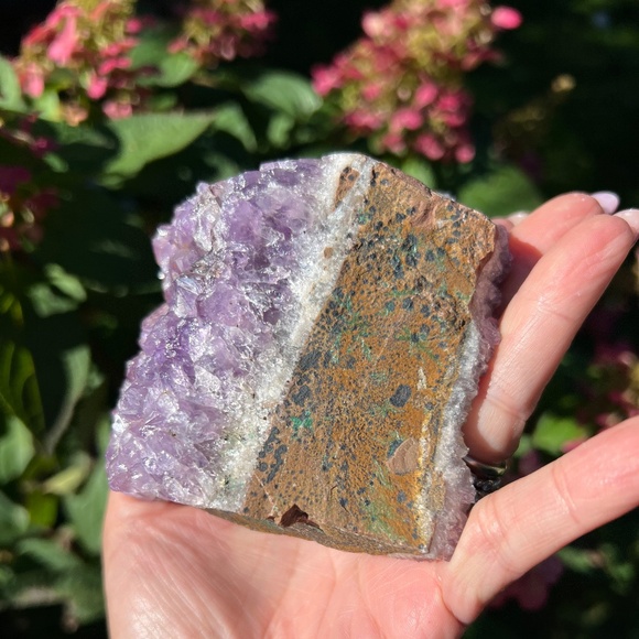 Amethyst (5) cluster | crystal - Picture 4 of 11